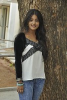 Ulka Gupta Gallery